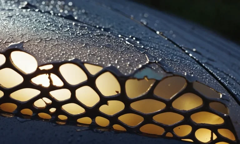 A close-up shot capturing the intricate patterns of a cracked eggshell, partially splattered on a glossy car hood, creating a contrasting image of fragility and potential paint damage.