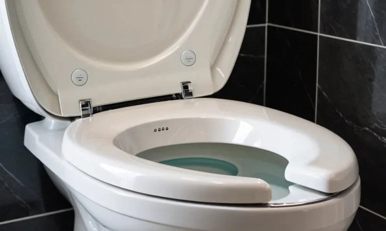 I Tested And Reviewed 10 Best Toilet Seat For Tushy Bidet (2023)
