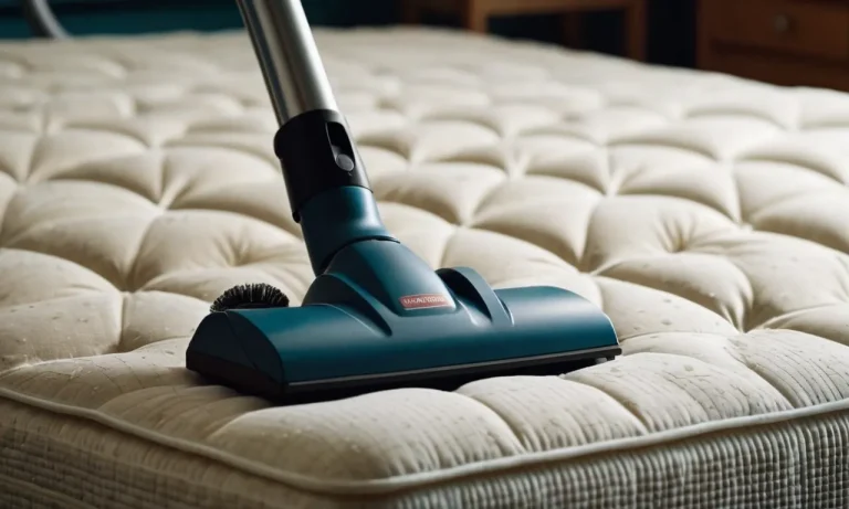 I Tested And Reviewed 9 Best Vacuum For Dust Mite Allergies (2023)