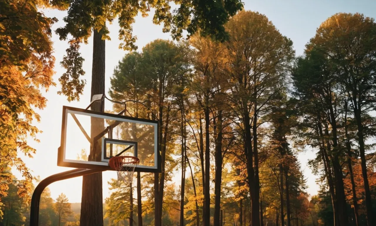 The sun sets behind towering trees, casting a warm, golden glow on the outdoor basketball court. The vibrant colors of the court and players are illuminated, creating a captivating and energizing atmosphere.