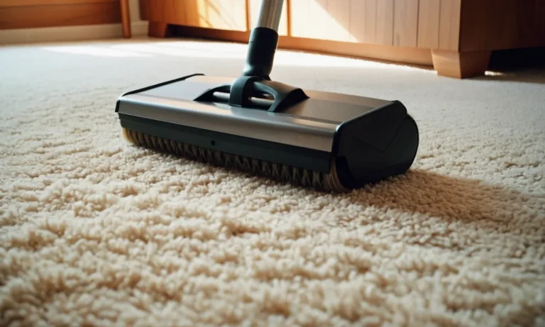 I Tested And Reviewed 6 Best Carpet Sweeper For Pet Hair (2023)